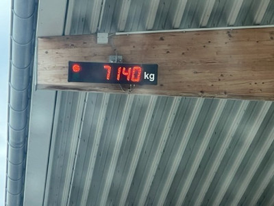 image1.jpeg