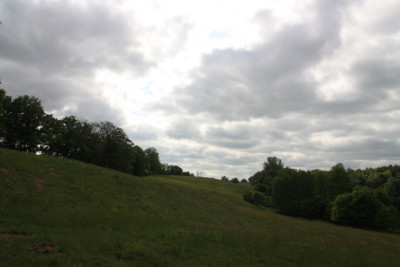 IMG_7254.JPG