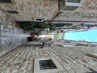 ALG-20230924_093848.jpg