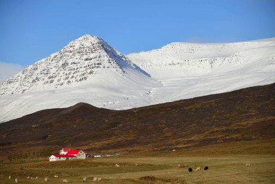_DSC9709.JPG