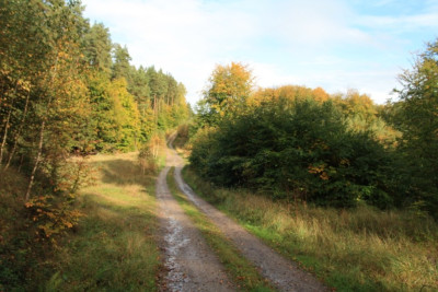 IMG_7672.JPG