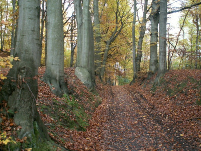 PICT7651.JPG