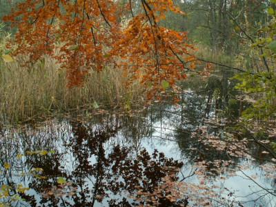 PICT7681.JPG