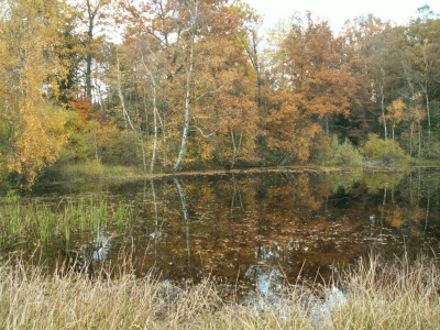 PICT7717.JPG