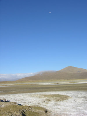 DSCN8473.JPG