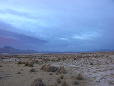 DSCN8483.JPG