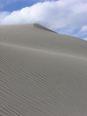 DSCN8652.JPG