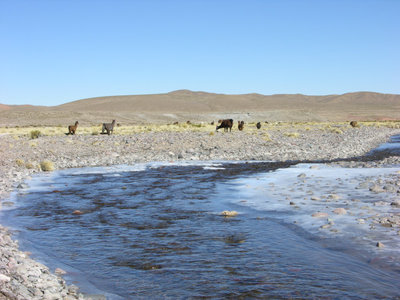 DSCN8915.JPG