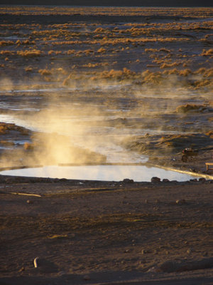 DSCN9069.JPG