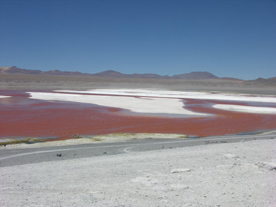DSCN9138.JPG