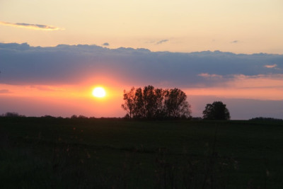 IMG_6869.JPG