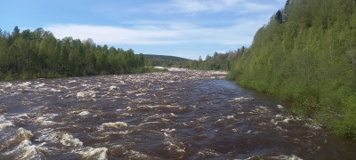 20240523_141103.jpg