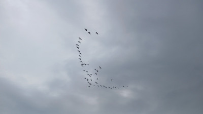 20240909_112713.jpg