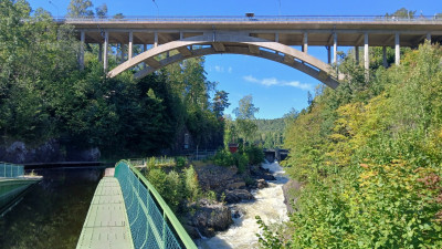 20240901_114130.jpg
