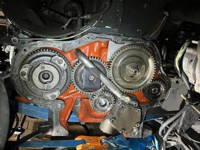rtzrtz5655.jpg