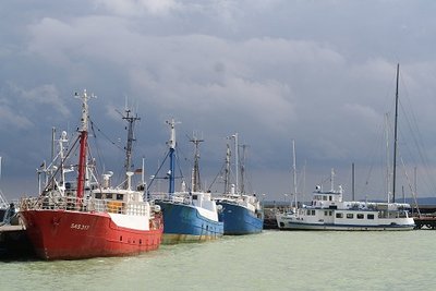 IMG_8389.jpg