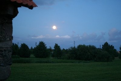 IMG_8528.jpg