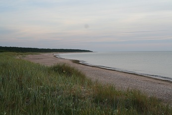 IMG_8629-1.jpg