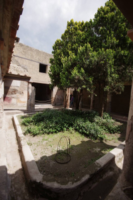 20250426_154126_Herculaneum_064.JPG