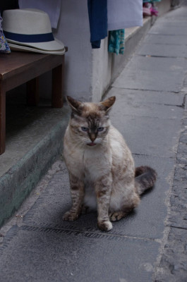 20250427_201801_Amalfi_131.JPG