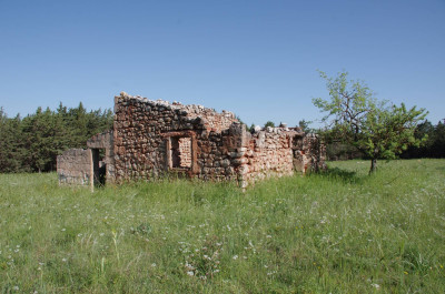 20250430_085808_Spinazzola_034.JPG