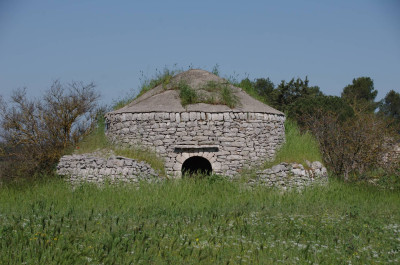 20250430_093622_Spinazzola_038.JPG
