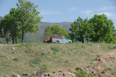 20250504_094359_Larisas_001.JPG