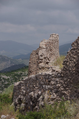 20250511_103815_Geraki_031.JPG