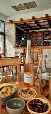 Weinprobe Villa Melnik