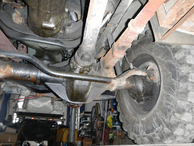 DSCN3087.jpg