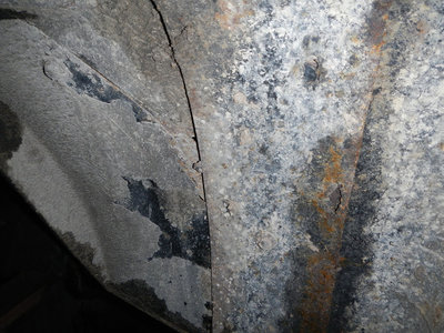 DSCN3095.jpg