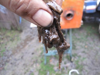 kubota3.jpg