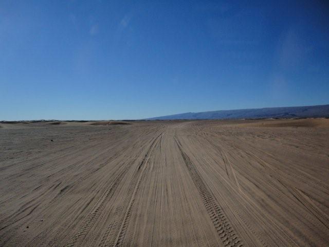 DSC01624.jpg