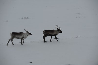 DSC_7692.JPG
