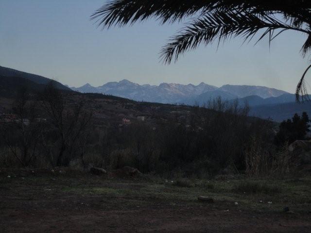 DSC02505.jpg