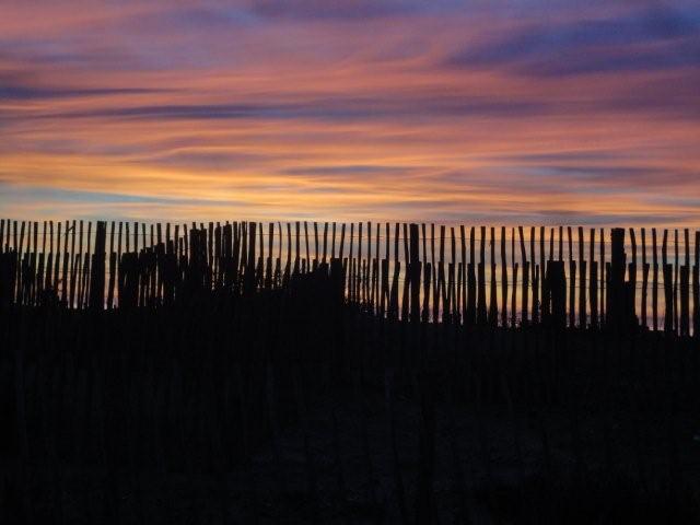 DSC02792.jpg