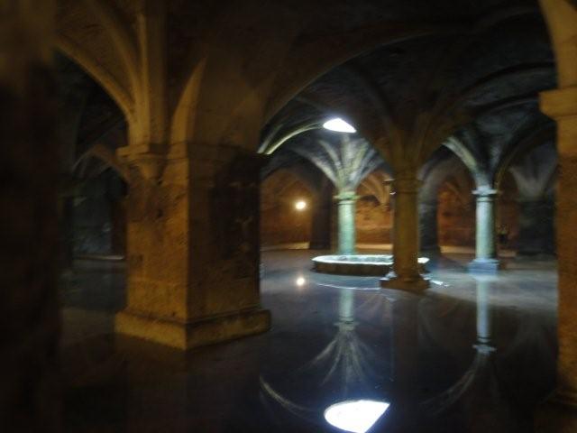 DSC02749.jpg
