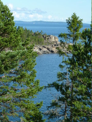 P1110139_1.JPG