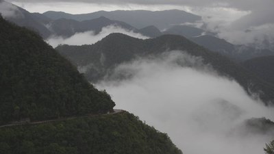 IMG_6781a.jpg