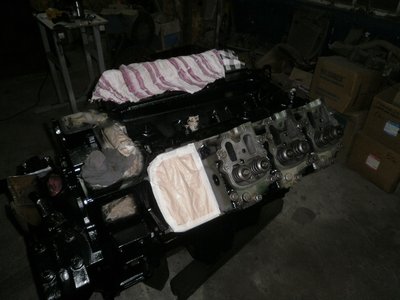 833.JPG