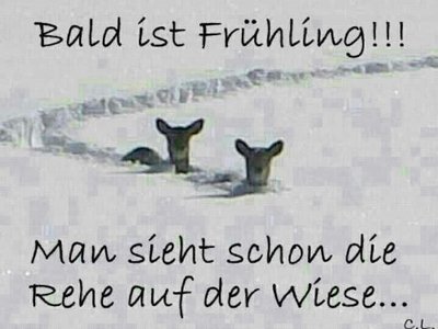Bald ist's soweit....hoffentlich