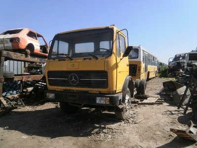 874.JPG