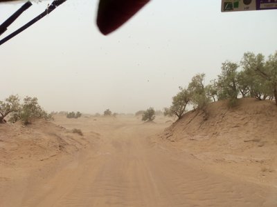 Marokko 2013 436.jpg