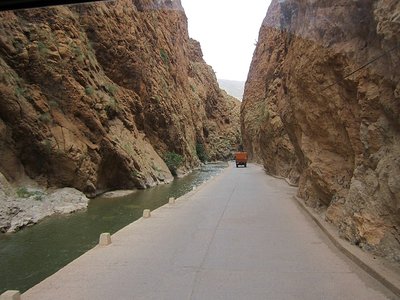 IMG_2346.jpg