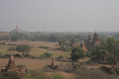 IMG_6982.JPG1.jpg