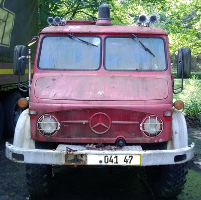 mog front lq.jpg