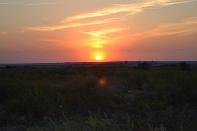 DSC_0234.JPG