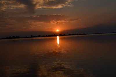 DSC_0359.JPG