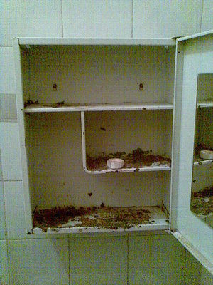 Kasten im Bad