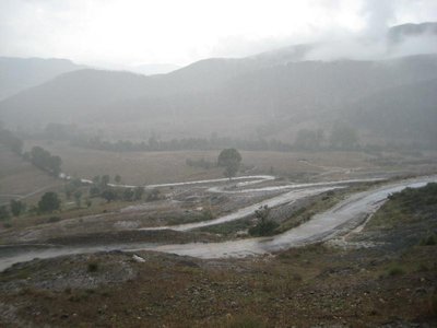 IMG_2921.JPG